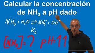 Calcular la concentración de Amoniaco a pH11 [upl. by Eelaras]