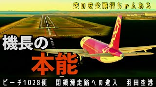 【誤進入】そこは閉鎖滑走路！羽田空港での重大インシデント。ピーチ1028便。 [upl. by Alemahs550]