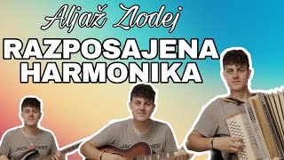 Aljaž Zlodej  Razposajena harmonika F Mihelič  4K [upl. by Tarra]