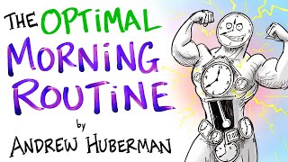 The Optimal Morning Routine  Andrew Huberman [upl. by Topper]