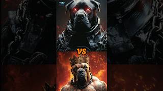 Cane Corso vs Rottweiler which is the ultimate guard dog💥trendingshorts dogsofyoutube youtube [upl. by Nerrat]