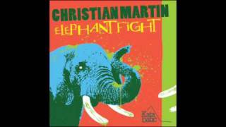 Christian Martin  Elephant Fight Justin Martins Jungle Mix [upl. by Aissirac]