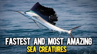 Top 10 The Fastest and Most Amazing Sea Creatures [upl. by Reivaz614]