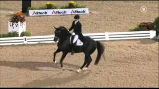 Totilas amp Edward Gal WEG Grand Prix Freestyle [upl. by Akkina]