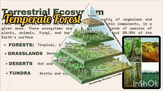 Types of Ecosystem  A Terrestrial Ecosystem B Aquatic Ecosystem C Artificial Ecosystem [upl. by Wordoow]