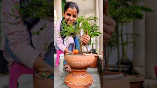 क्या आपके पास मटका है तो मटके से बनाएं शानदार गमला entrancedecor newgardeningtip naturelovers [upl. by Ennavoj]