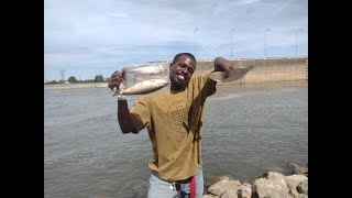 Catfishing at the Barkley Dam in Kentucky  Skipjack Vs Mooneye Challenge [upl. by Arriek817]