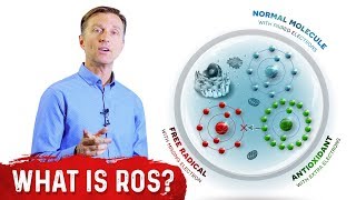 What Are Reactive Oxygen Species ROS  Dr Berg [upl. by Netsirhc711]