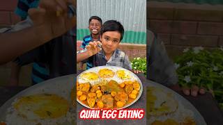 Spicy Quail Egg Curry with Rice Mukbang EatingShow BigBites Viral Tranding Reels shortsfeed [upl. by Berenice]