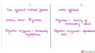 Distinguish between intracellular and extracellular digestion  11  ANIMAL KINGDOM  BIOLOGY [upl. by Tnahsarp]