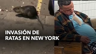 Vivir entre ratas La otra cara de New York [upl. by Miof Mela112]