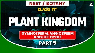 𝐏𝐋𝐀𝐍𝐓 𝐊𝐈𝐍𝐆𝐃𝐎𝐌 𝐂𝐋𝐀𝐒𝐒 𝟏𝟏  BOTANY GYMNOSPERM ANGIOSPERM AND LIFE CYCLE  NEET SANJEEVANI BATCH [upl. by Hasen]