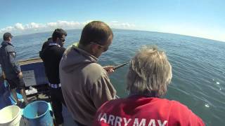 mobile version Deep sea fishing with Harry May at Lyme Regis [upl. by Jeffry179]