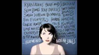 Virginia Moon  Foo Fighters featuring Norah Jones [upl. by Akcirderf447]