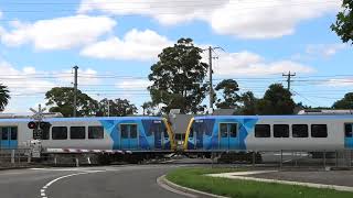 Yarralea St Railway Crossing Alphington [upl. by Painter828]