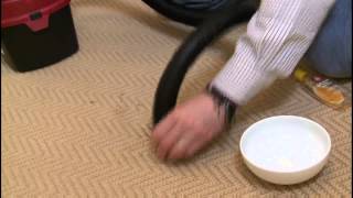 How to Remove Pet Urine From Carpet  Tips From Dry Cleaning Expert [upl. by Fredie749]