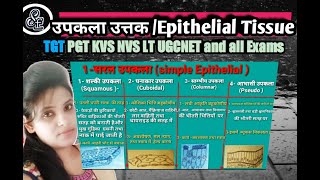 Types of Epithelial TissueEpithelial Tissue Structure amp Functionएपीथीलियल टिशु के प्रकार एवं कार्य [upl. by Naud47]