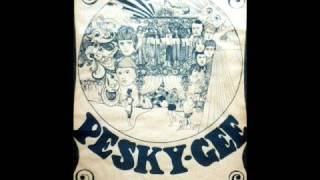 PESKY GEE  Another Country 1969 [upl. by Enilrae94]