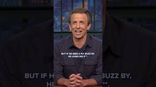 Trump plays tough but Seth Meyers knows his Kryptonite ACloserLook [upl. by Ailadgim150]