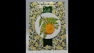 Stampin Up Citrus Blooms [upl. by Rimaj]