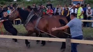 STRAPARIJADA POBJEDNICI U PARU2022 [upl. by Hazaki14]