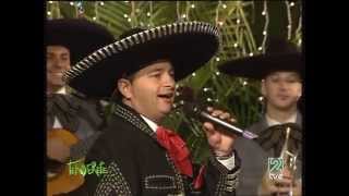 Mariachi Mencey Azteca  El Rey  Tenderete [upl. by Einnor38]