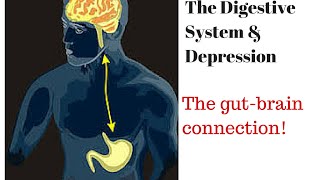 Digestive System and Depression [upl. by Curnin939]