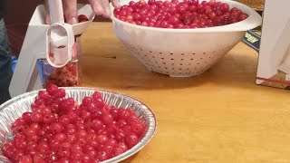 Pitting CHERRIES Norpro Cherry Pitter [upl. by Narmak]