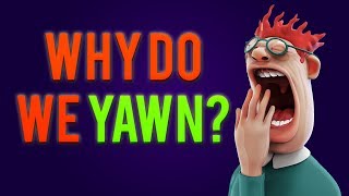 Why Do You Yawn When Others Yawn [upl. by Annaili]