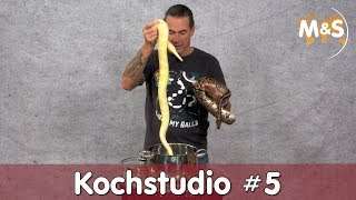 Kochstudio 5  Possible amp hetero  Reptil TV [upl. by Acsicnarf]