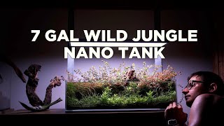 7gal WILD JUNGLE  amazing details of a Planted Nano Aquarium [upl. by Ahsinroc]