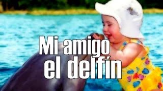 Canción para el Delfín  MI AMIGO EL DELFÍN  DANIEL DENIESSE [upl. by Daryle]