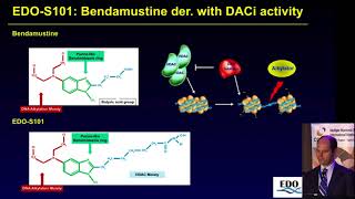 HDAC inhibitors and epigenetic modulation  Enrique Ocio Spain [upl. by Shaya]