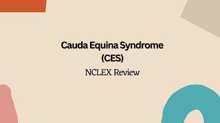 Cauda Equina Syndrome CES  NCLEX Nursing Review [upl. by Hgielanna]