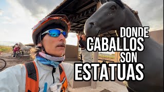 DONDE Los Caballos SON ESTATUAS [upl. by Broeder]