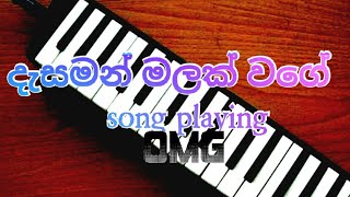 Desaman malak vagee priyankarai song playing with melodica දැසමන් මලක් වගේ ප්‍රියංකරයි ජන සංගීතය [upl. by Garv873]