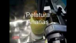 DURFO  Pineapples Fruits Peeler Slicer  Pelafrutta Ananas  Durfo MaxiStrip [upl. by Cyril]