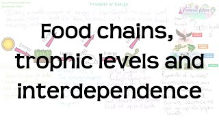 Food chains trophic levels and interdependence  Revision for Biology GCSE [upl. by Ahsirahc799]