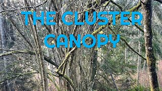 The ClusterCuts Canopy is my mission today My goal is to clear branches without inflicting injury [upl. by Uel118]