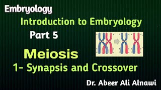 5 EmbryologyIntroduction  Part 5 Meiosis  1Synapsis and CrossoverDr Abeer Ali Alnawi [upl. by Gannes]