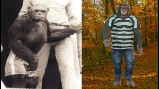 Humanzee – The Horror of an Unethical Experiment [upl. by Merri]