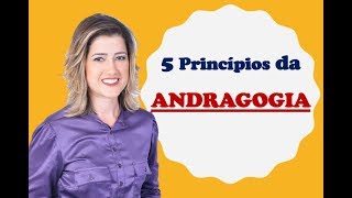 5 Princípios essenciais da Andragogia [upl. by Doughman598]