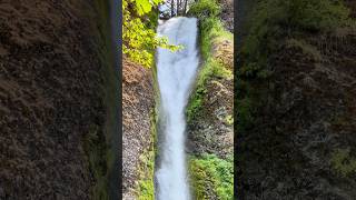 Horsetail Falls Oregon’s Cascading Beauty [upl. by Lear]