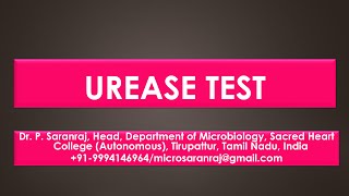 Urease test [upl. by Thevenot]