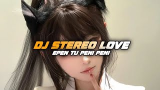 DJ FAIZ 【STEREO LOVE】SLOW BASS [upl. by Elocin668]