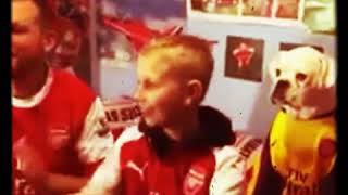 Aubameyang new arsenal song 😍Arsenal fans aubameyang chants cute dog reaction [upl. by Creight]