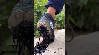 Shoes pighal Gaya sosatisfying sneakers satisfying shortvideo shortsfeed trending new shoes [upl. by Mimajneb]