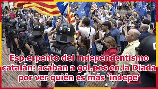 Esperpento del independentismo catalán acaban a golpes en la Diada por ver quién es más ‘indepe’ [upl. by Goldberg356]