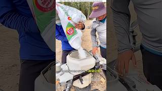 Fertilizer drones and tree climbing machines।😱shortvideo amazingsfacts [upl. by Notlaw841]