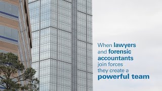 Forensic Accountants and Lawyers A Powerful Team [upl. by Gayleen]